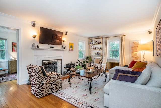 341 Quaker Ln N, West Hartford, CT 06119 - living room featuring light wood-style flooring, healthy amount of natural light, a fireplace, crown molding, and radiator heating unit