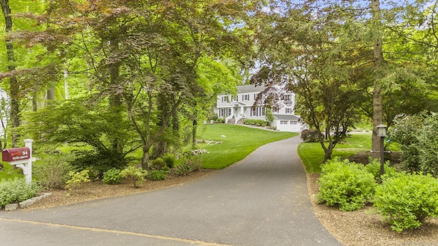94 Glen Dr, New Canaan, CT 06840 - view of property's community featuring a lawn