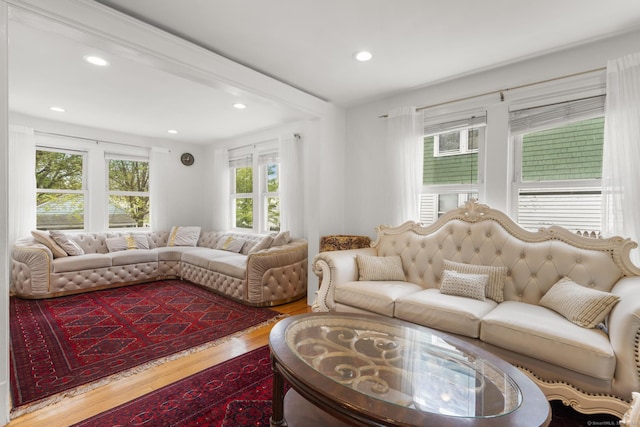 living area with wood finished floors and recessed lighting