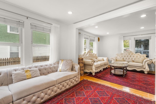 living area featuring wood finished floors, healthy amount of natural light, and recessed lighting