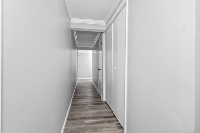 1400 Meriden Rd Apt 1-2, Waterbury, CT 06705 - hall featuring baseboards, crown molding, and wood finished floors