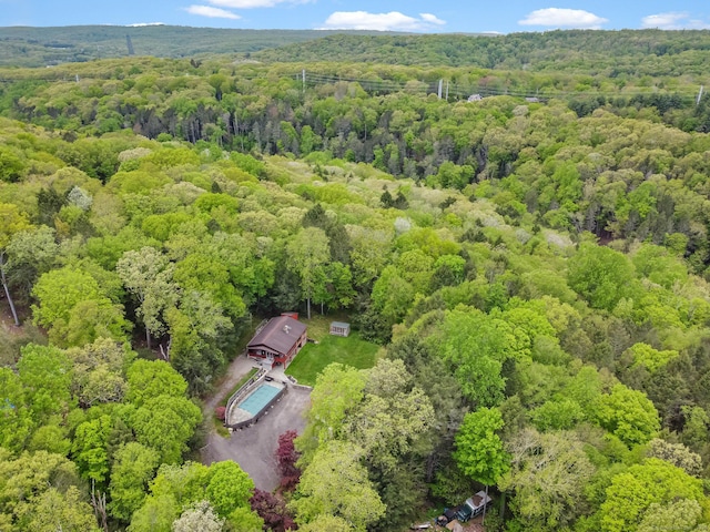 6 Knorr Rd, Oxford, CT 06478 - aerial view of a forest and a pool
