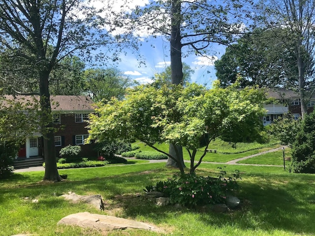 245 Unquowa Rd Apt 127, Fairfield, CT 06824 - view of grassy yard