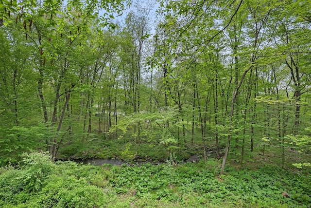 61 Stony Brook Rd, Middlebury, CT 06762 - view of woods
