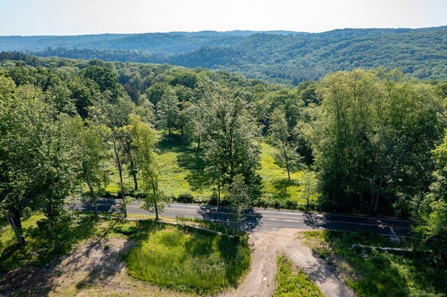 134 Roxbury Rd, Washington, CT 06793 - view of mountain backdrop with a forest