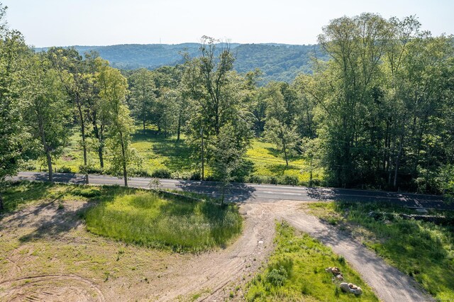 134 Roxbury Rd, Washington, CT 06793 - view of mountain background featuring a heavily wooded area