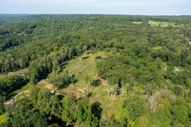 134 Roxbury Rd, Washington, CT 06793 - aerial overview of property's location featuring a heavily wooded area