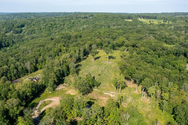 134 Roxbury Rd, Washington, CT 06793 - view of property location featuring a heavily wooded area