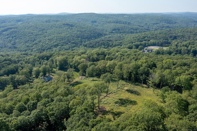 134 Roxbury Rd, Washington, CT 06793 - aerial view of a forest