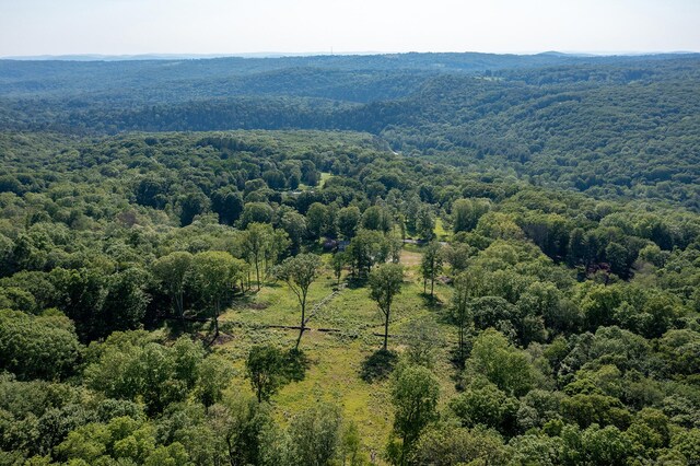 134 Roxbury Rd, Washington, CT 06793 - bird's eye view of a forest