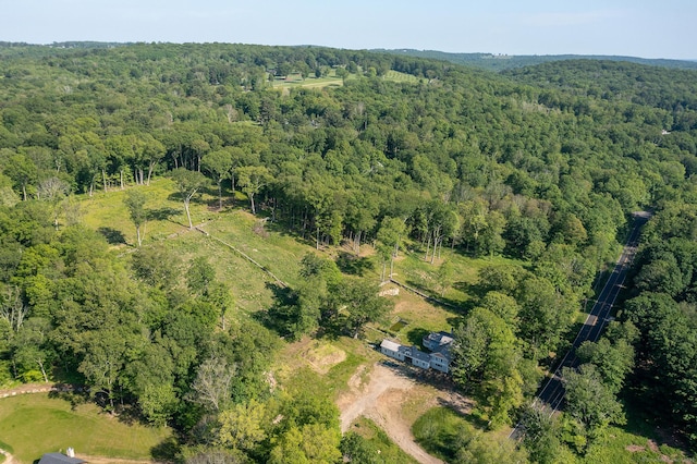 134 Roxbury Rd, Washington, CT 06793 - aerial view of property's location with a forest