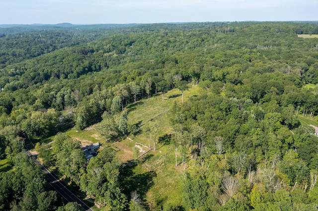 134 Roxbury Rd, Washington, CT 06793 - aerial view of property's location featuring a heavily wooded area