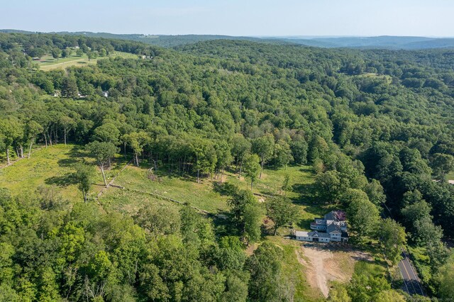 134 Roxbury Rd, Washington, CT 06793 - bird's eye view of a heavily wooded area