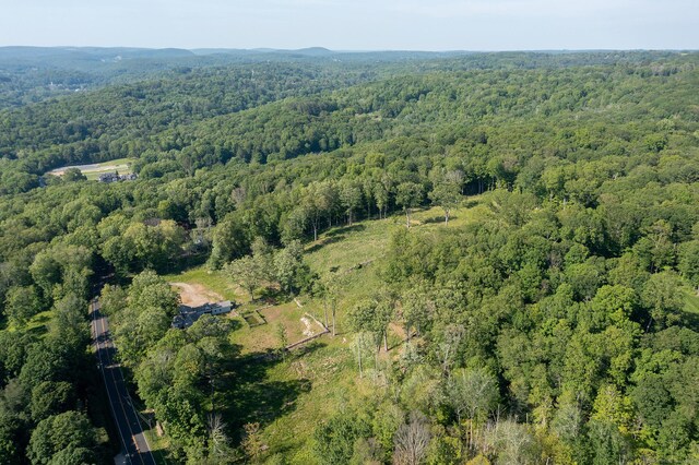 134 Roxbury Rd, Washington, CT 06793 - view of property location featuring a forest