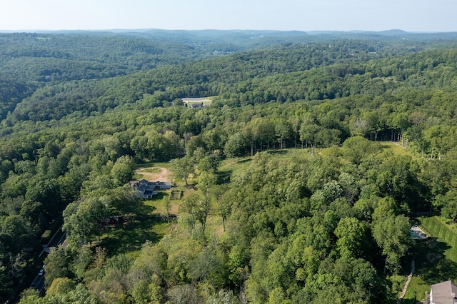 134 Roxbury Rd, Washington, CT 06793 - aerial view of property and surrounding area featuring a heavily wooded area