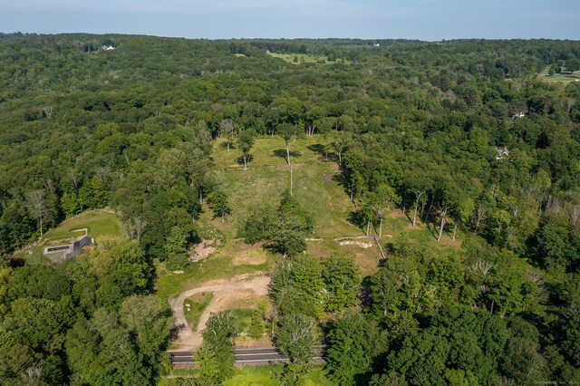 134 Roxbury Rd, Washington, CT 06793 - aerial view of property's location featuring a forest