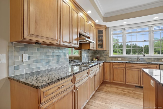 18 Beaver Dam Rd, Newtown, CT 06470 - kitchen featuring crown molding, a sink, under cabinet range hood, light wood finished floors, and recessed lighting