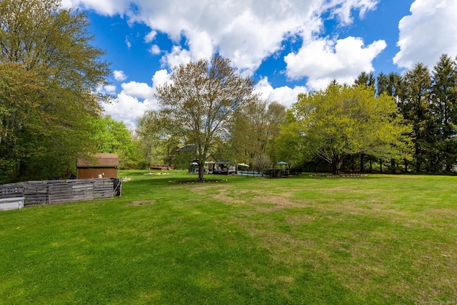 view of grassy yard with view of scattered trees