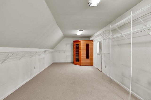 233 N Society Rd, Canterbury, CT 06331 - spacious closet with carpet and vaulted ceiling