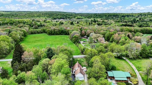 233 N Society Rd, Canterbury, CT 06331 - drone / aerial view of a forest