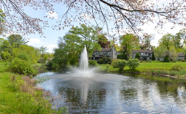 water view