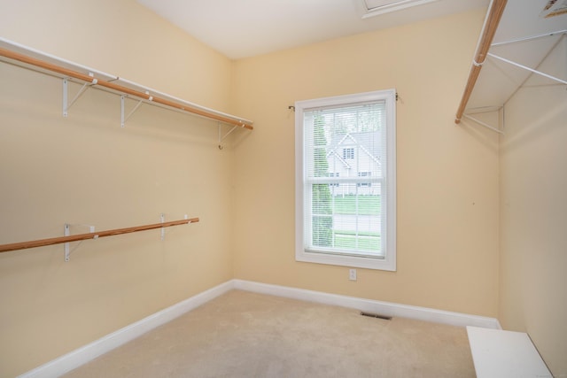 walk in closet featuring carpet floors