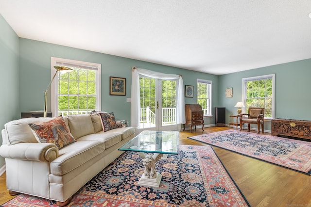98 Hemlock Valley Rd, East Haddam, CT 06423 - living area with wood finished floors and french doors