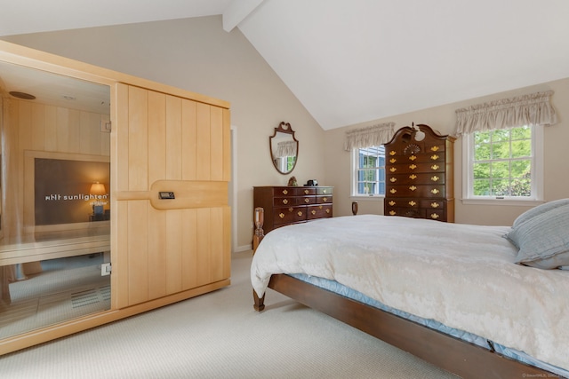 98 Hemlock Valley Rd, East Haddam, CT 06423 - view of carpeted bedroom
