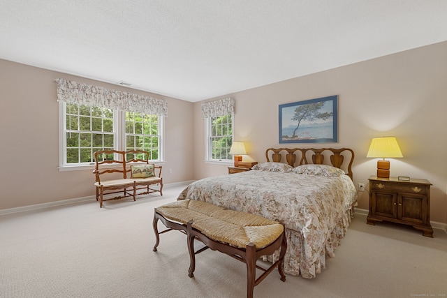 98 Hemlock Valley Rd, East Haddam, CT 06423 - bedroom with carpet flooring and baseboards