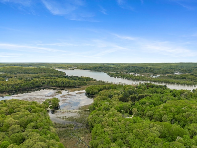 98 Hemlock Valley Rd, East Haddam, CT 06423 - drone / aerial view of a forest and a large body of water