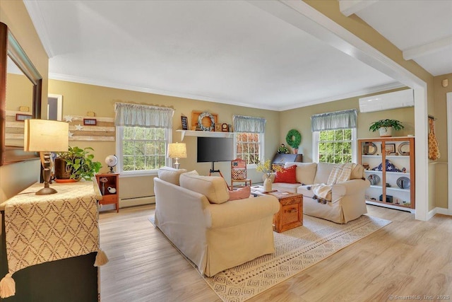 20 Thayer Road Ext, Haddam, CT 06441 - living room with a baseboard heating unit, wood finished floors, ornamental molding, and a wall mounted air conditioner