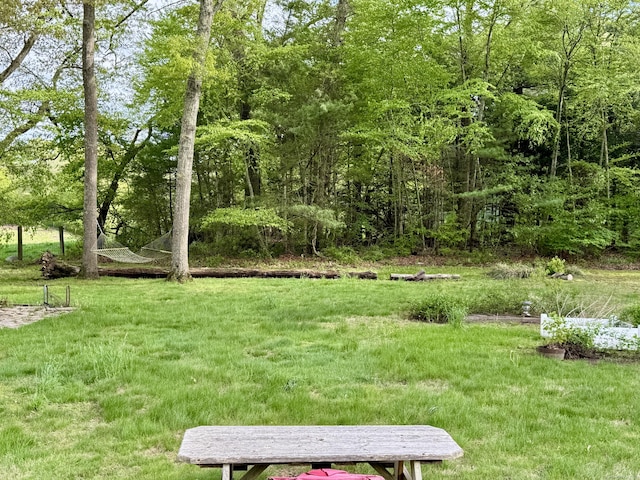 492 Providence New London Tpke, North Stonington, CT 06359 - view of green lawn