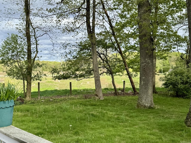 492 Providence New London Tpke, North Stonington, CT 06359 - view of green lawn
