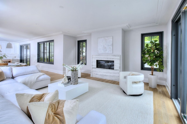 158 Compo Rd N, Westport, CT 06880 - living area featuring attic access, baseboards, light wood-type flooring, a fireplace, and crown molding