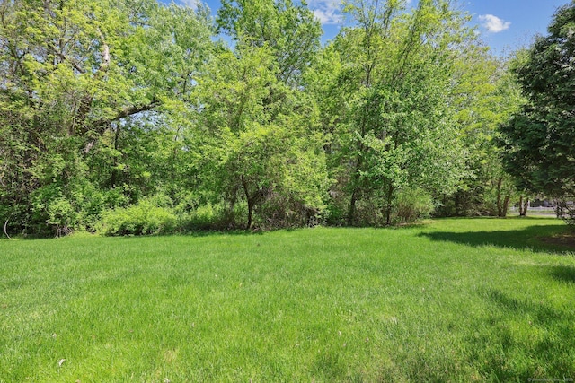 20 Goodwin Cir Unit 20, Hartford, CT 06105 - view of grassy yard