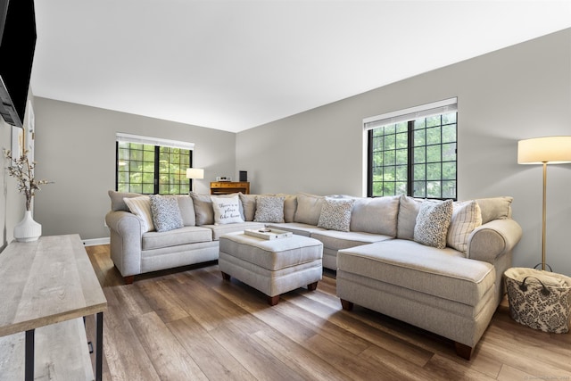 442 Swanson Cres Unit 442, Milford, CT 06461 - living area featuring wood finished floors