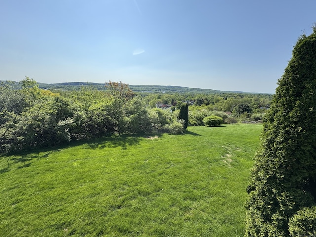 26 John George Dr, Meriden, CT 06450 - view of grassy yard