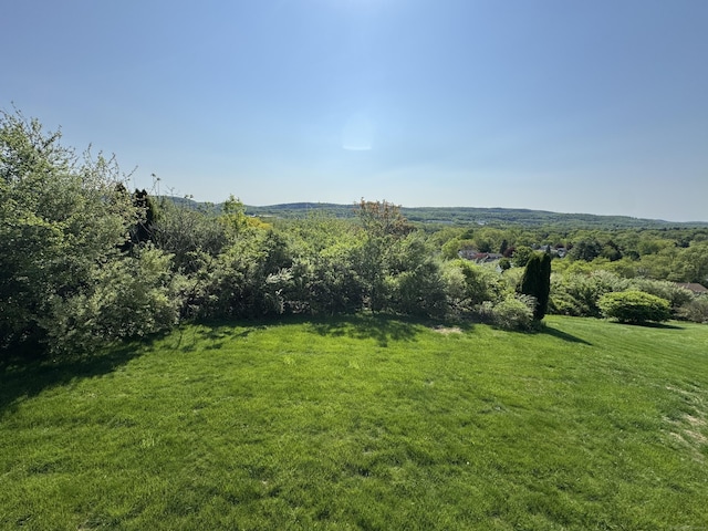 26 John George Dr, Meriden, CT 06450 - view of green lawn