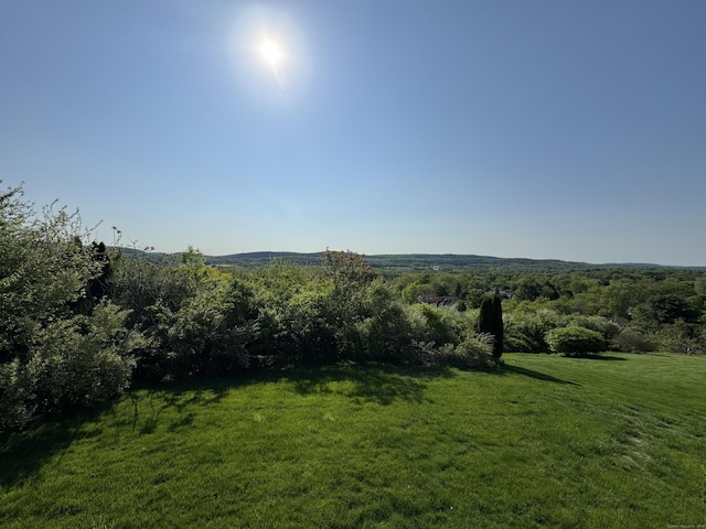 26 John George Dr, Meriden, CT 06450 - view of grassy yard