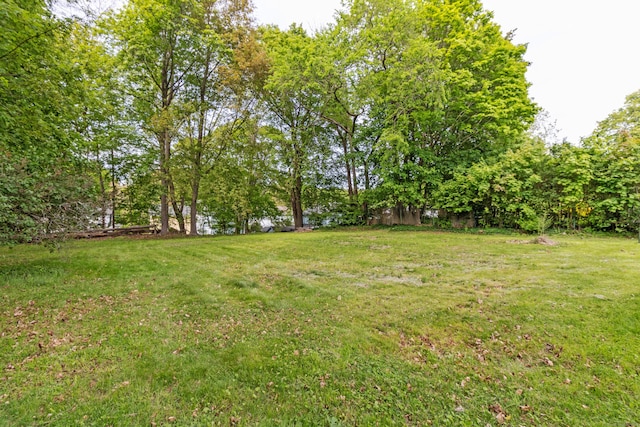 61 Williams St, Norwich, CT 06360 - view of grassy yard