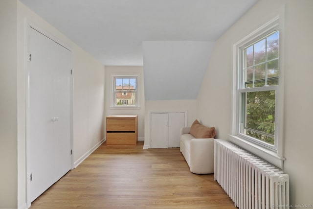 8 Bailey St, Trumbull, CT 06611 - living area featuring radiator heating unit and light wood-style flooring
