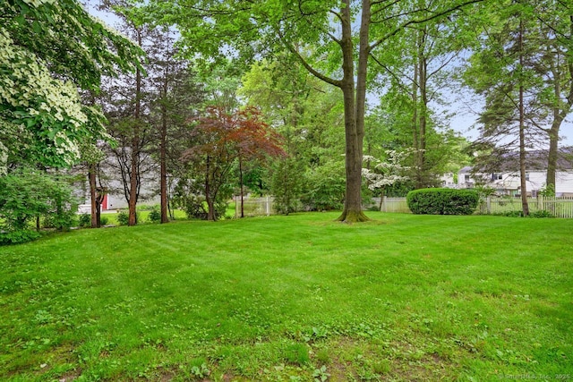 8 Bailey St, Trumbull, CT 06611 - view of yard