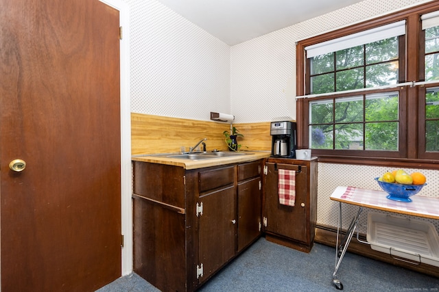 1 Meadowview Ln, Bloomfield, CT 06002 - bar area featuring dark carpet and a sink