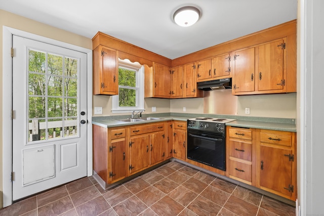 kitchen featuring black / electric stove, under cabinet range hood, a sink, brown cabinetry, and light countertops