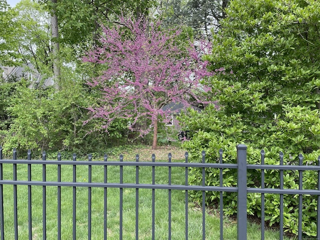 26 Ridgewood Rd, West Hartford, CT 06107 - view of yard