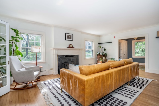 26 Ridgewood Rd, West Hartford, CT 06107 - living area featuring plenty of natural light, light wood-type flooring, and ornamental molding