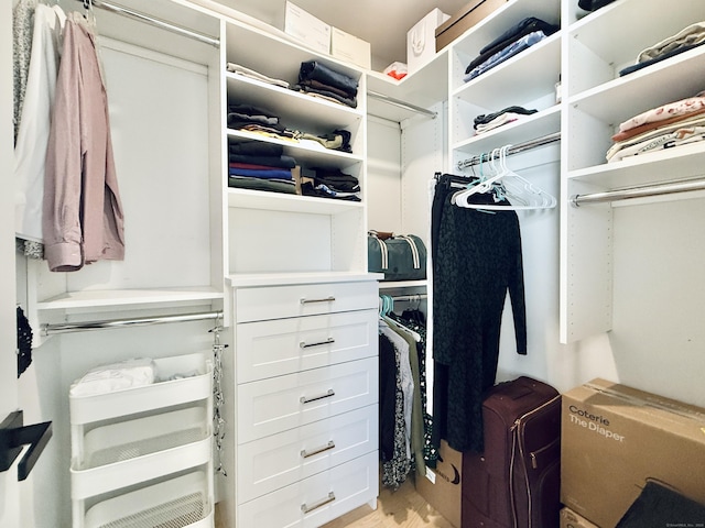 view of spacious closet