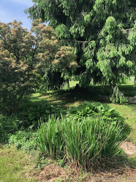 1066 Washington St, Middletown, CT 06457 - view of local wilderness
