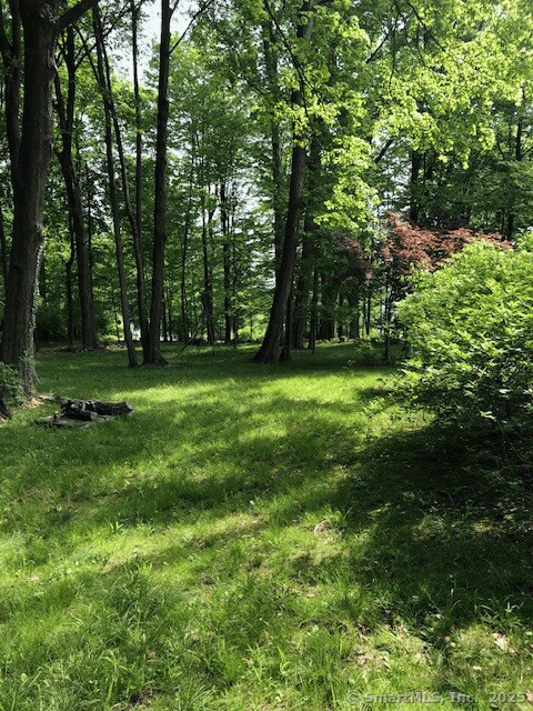 1066 Washington St, Middletown, CT 06457 - view of yard