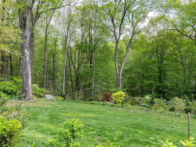 view of grassy yard with a wooded view